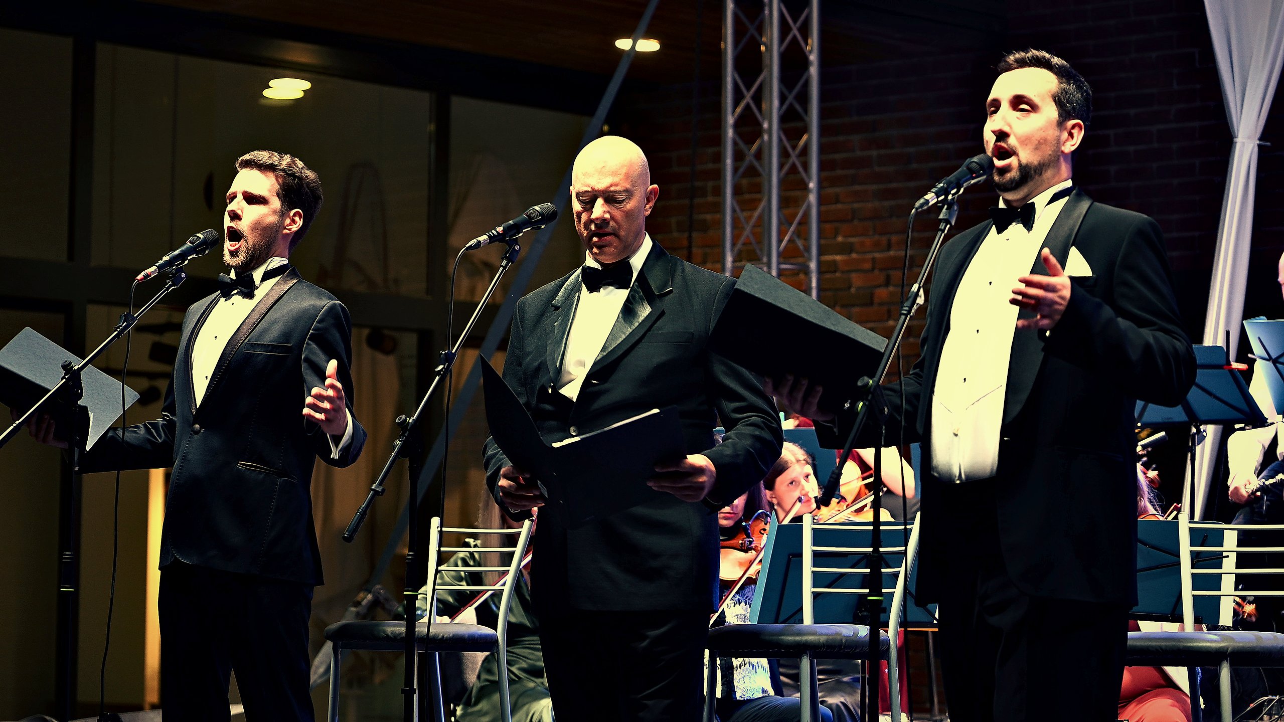 Trio s orkestrom, Čepin