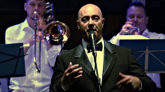 Dalibor Hanzalek – koncert u Čepinu, 30. 5. 2026.