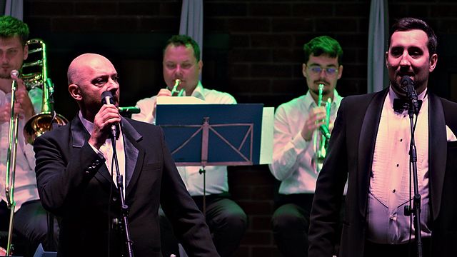 Dalibor Hanzalek – koncert u Čepinu, 30. 5. 2026.