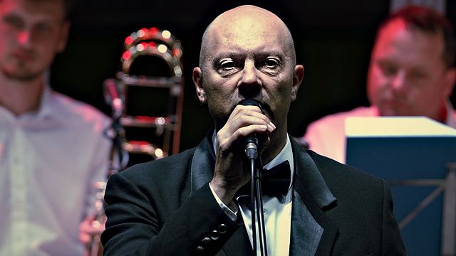 Dalibor Hanzalek – koncert u Čepinu, 30. 5. 2026.