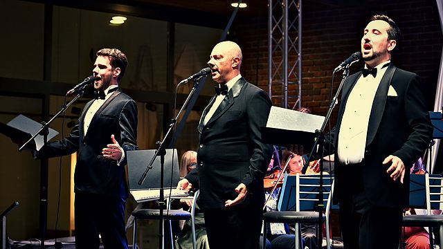 Europska tri baritona na pozornici – koncert u Čepinu, 30. 5. 2026.